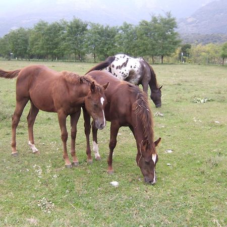 Agriturismo Al Ranch Castello dʼAviano Extérieur photo